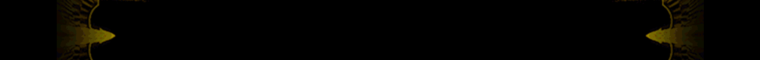 广告